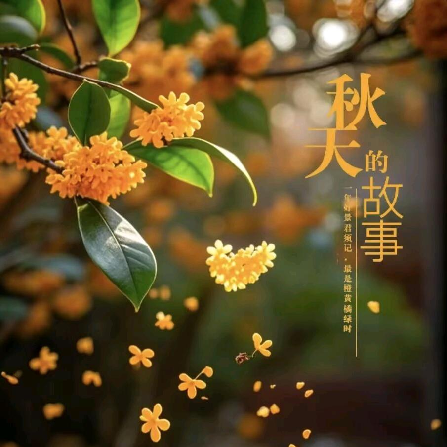 杠杠的