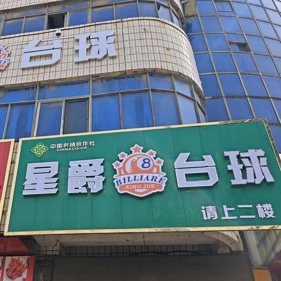 芝田  星爵台球