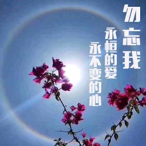 陪月亮熬夜