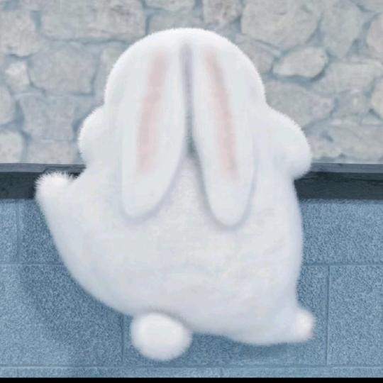 🐼莓碎碎(毕业版)