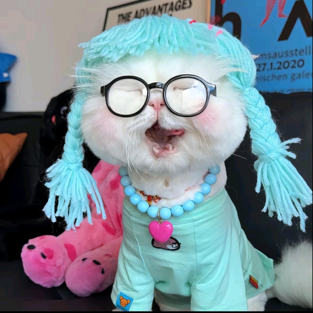 ᨶ႒ᩚ 微醺小猫ᵥₑ̶ᩚ: ᨶ႒ᩚ