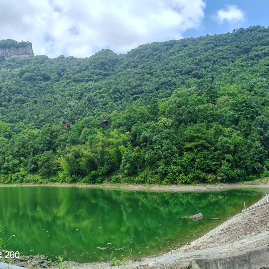 面对现实