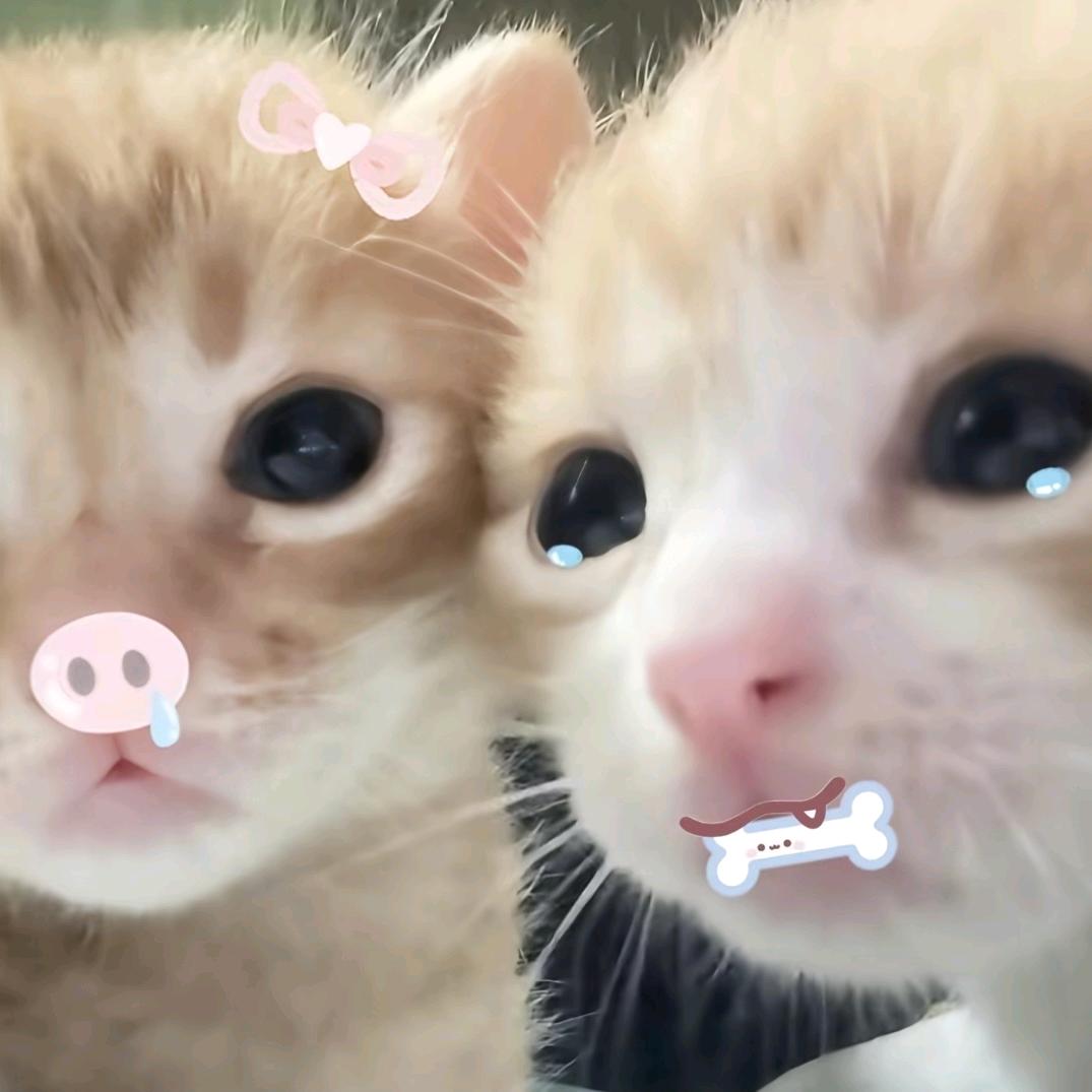 在深秋