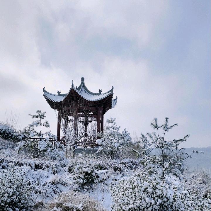 一笑而过@