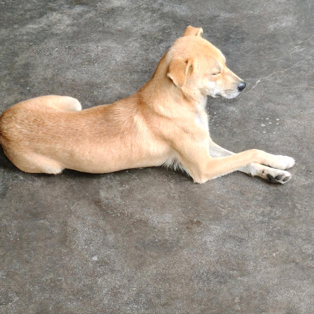豪厉害