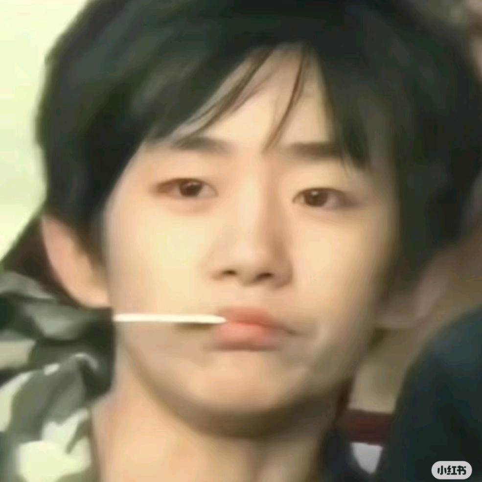 宰人的prime minister