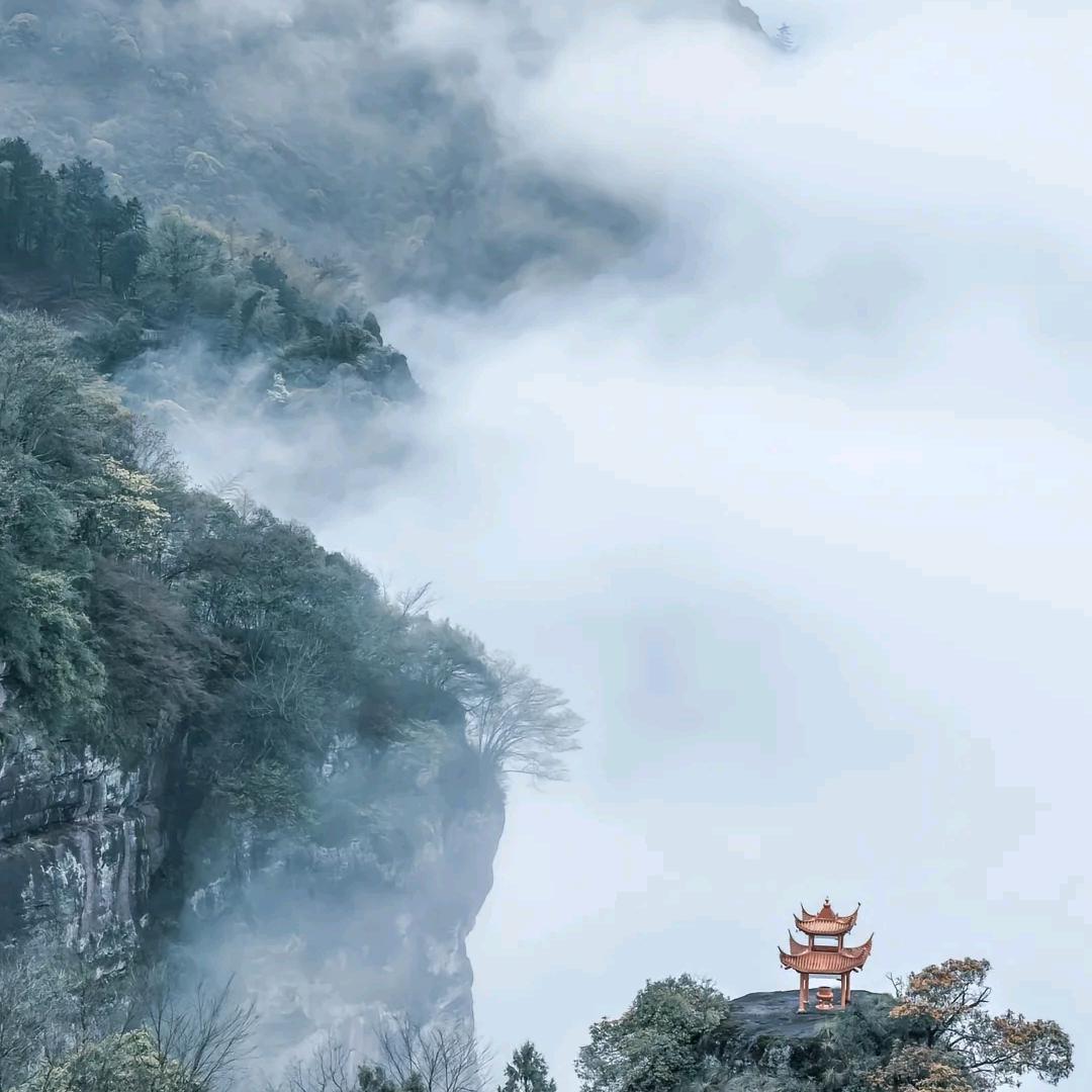 — 土坡上的城里人！！！