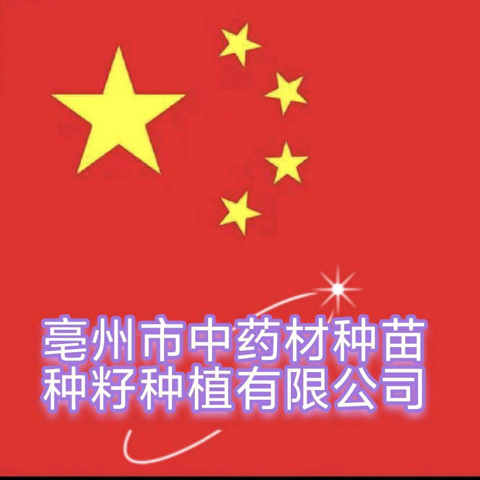 〖小白〗-中药材农业种苗种植有限公司
