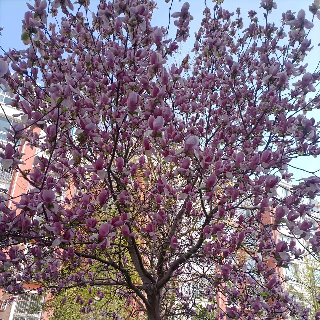 新景苑东街北站超市