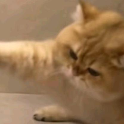 💌💌潮汕分享