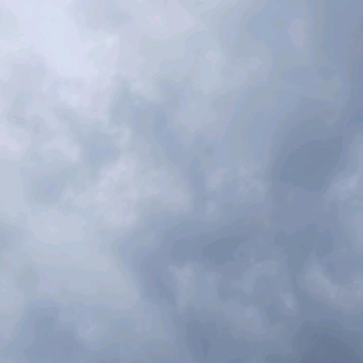 豪门凤凰杨临夏头像
