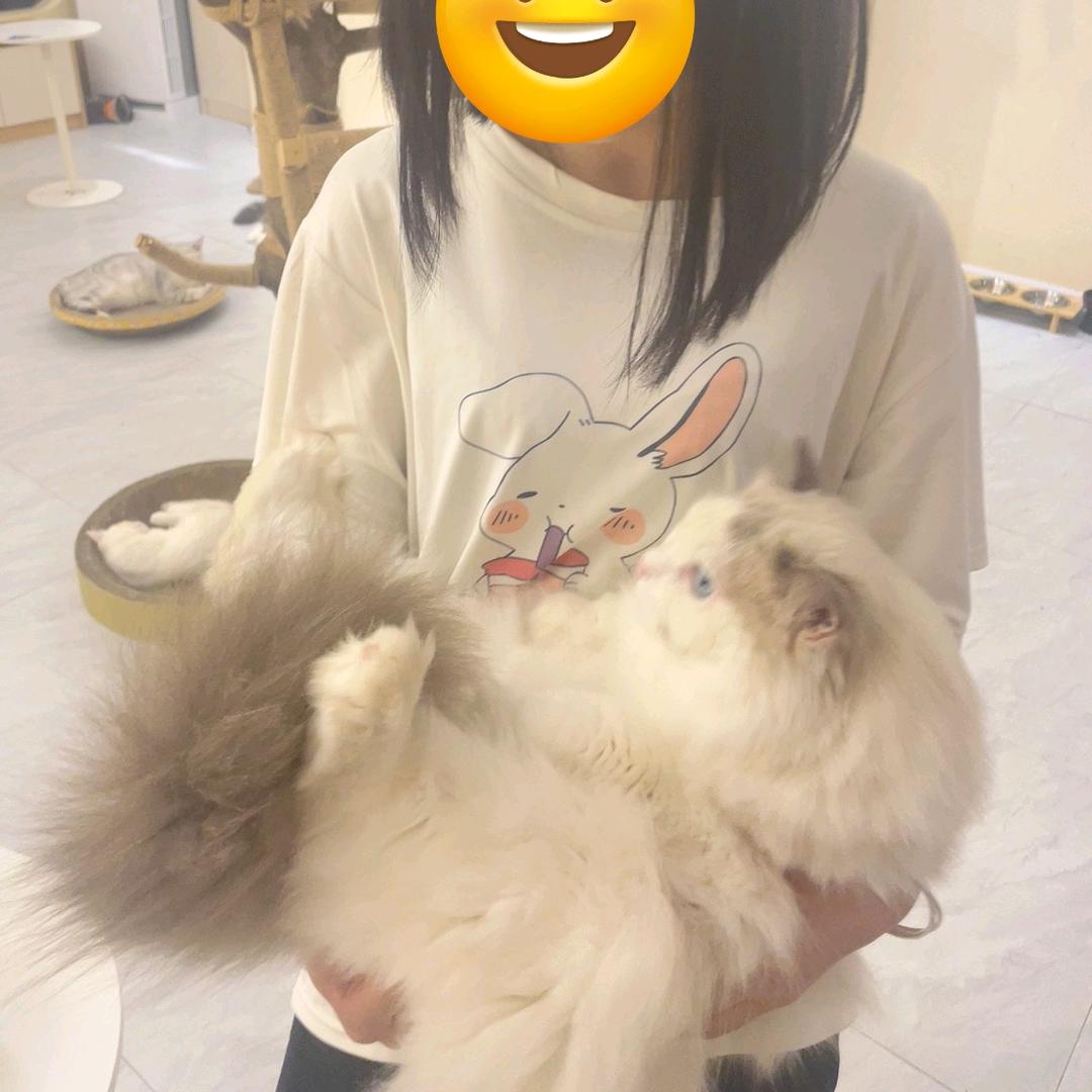 唱歌小九