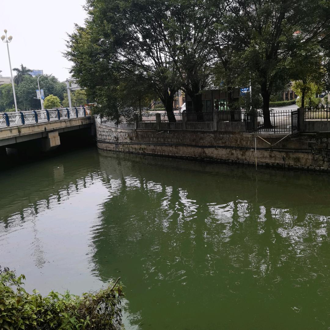 心念