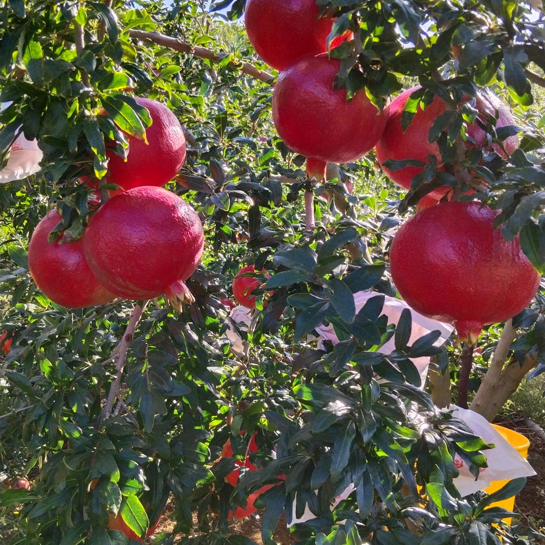 往后余生我陪你