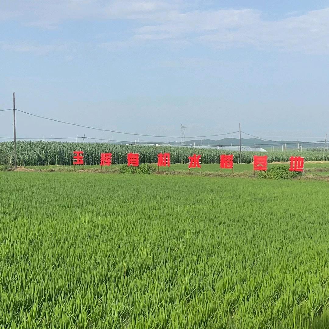 有机基地