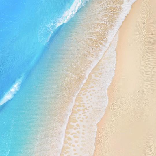 沐沐