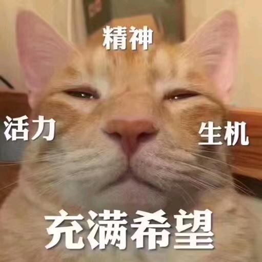嗯哼
