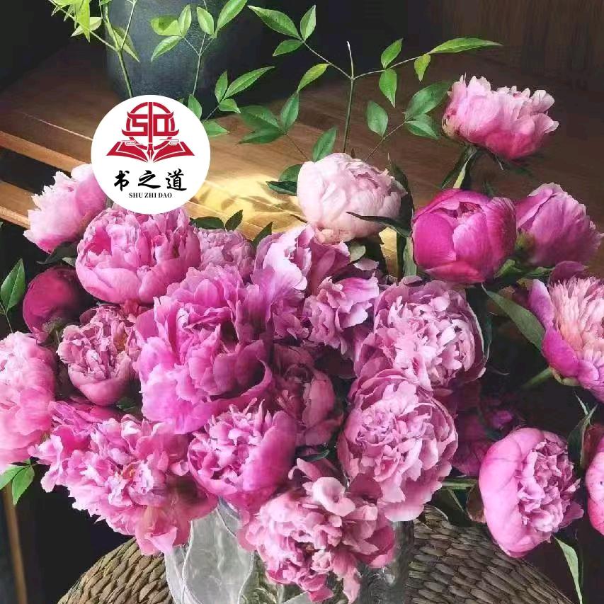 书之道•余生🇨🇳