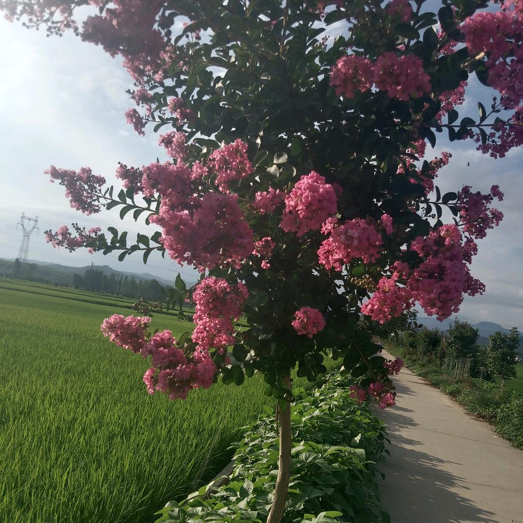 凡事问自己