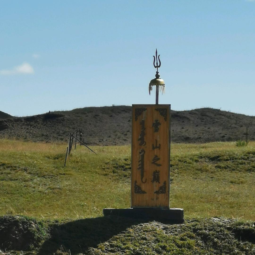 期市量化大表哥