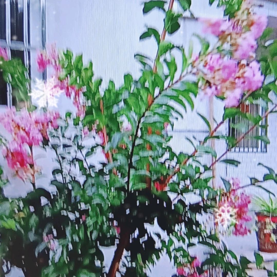 万事靠自己