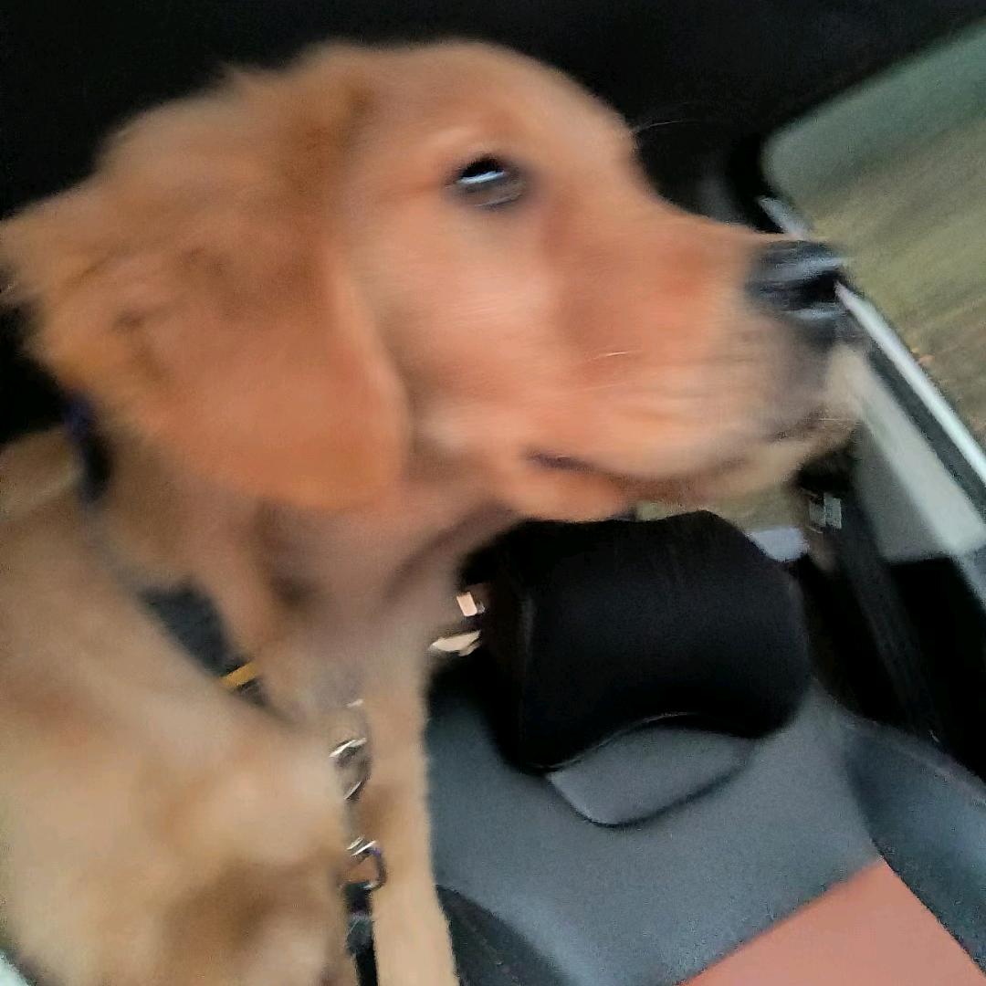 串串忍者的自我救赎（摆摊版）