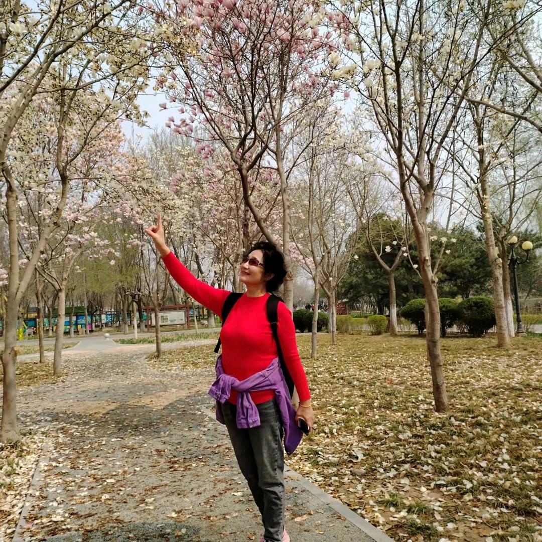 蔷花红莲