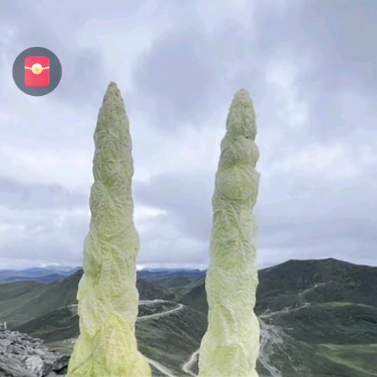 @我的前夫