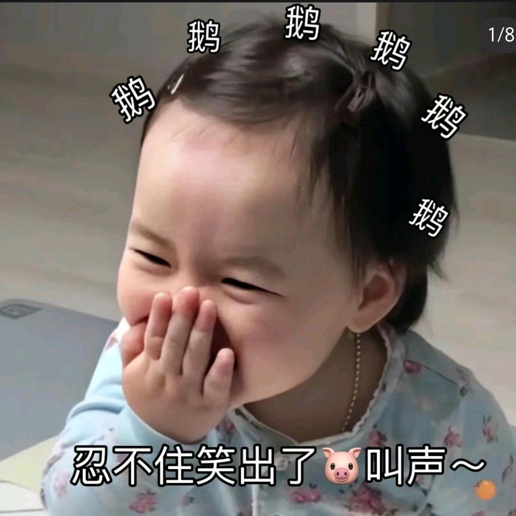 爱吃奶酪的奶酪