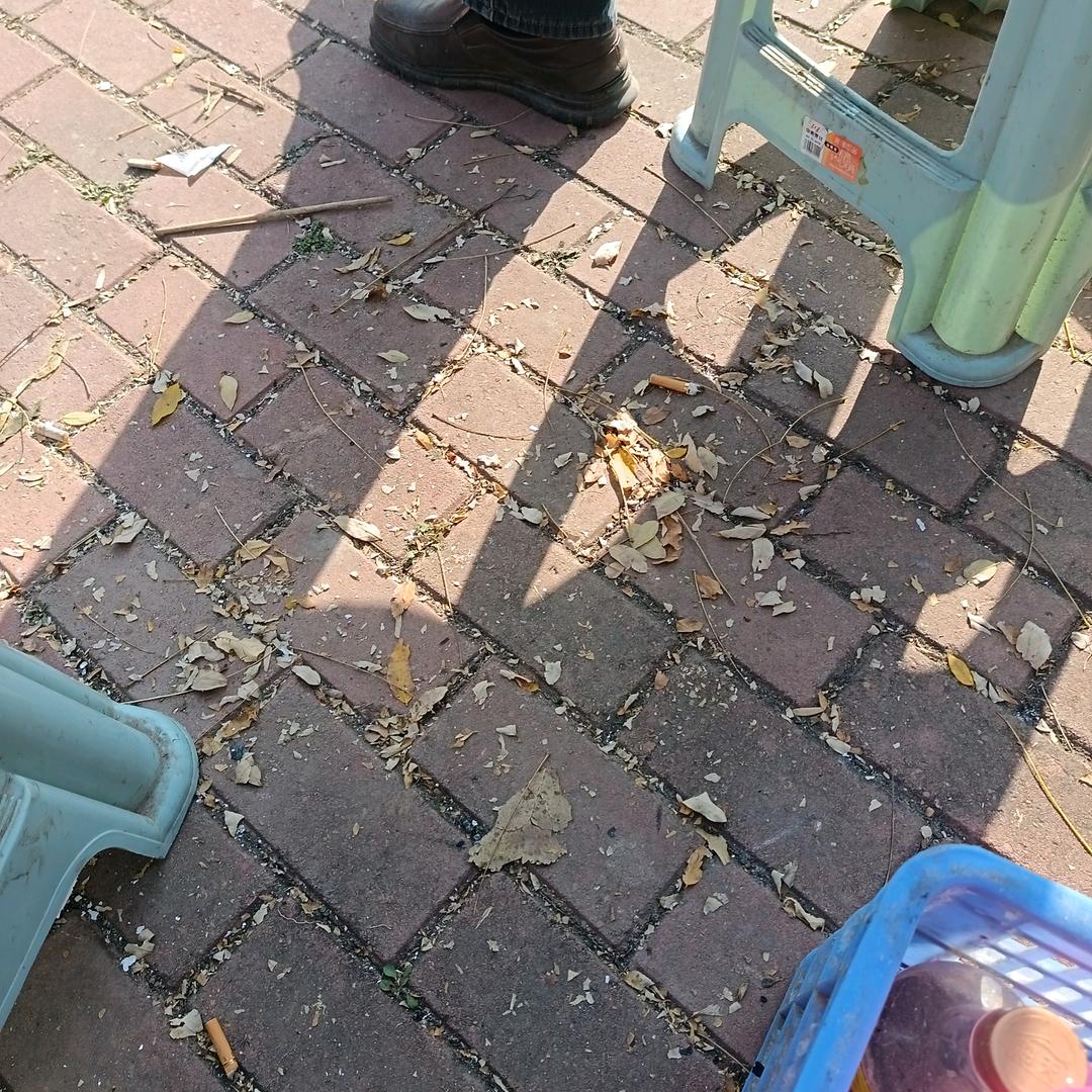 哦哦我