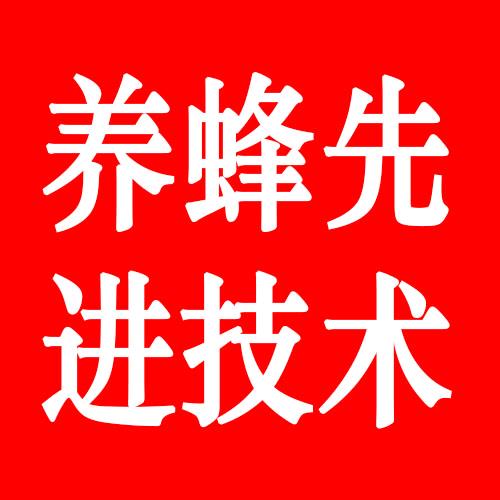 养蜂先进技术