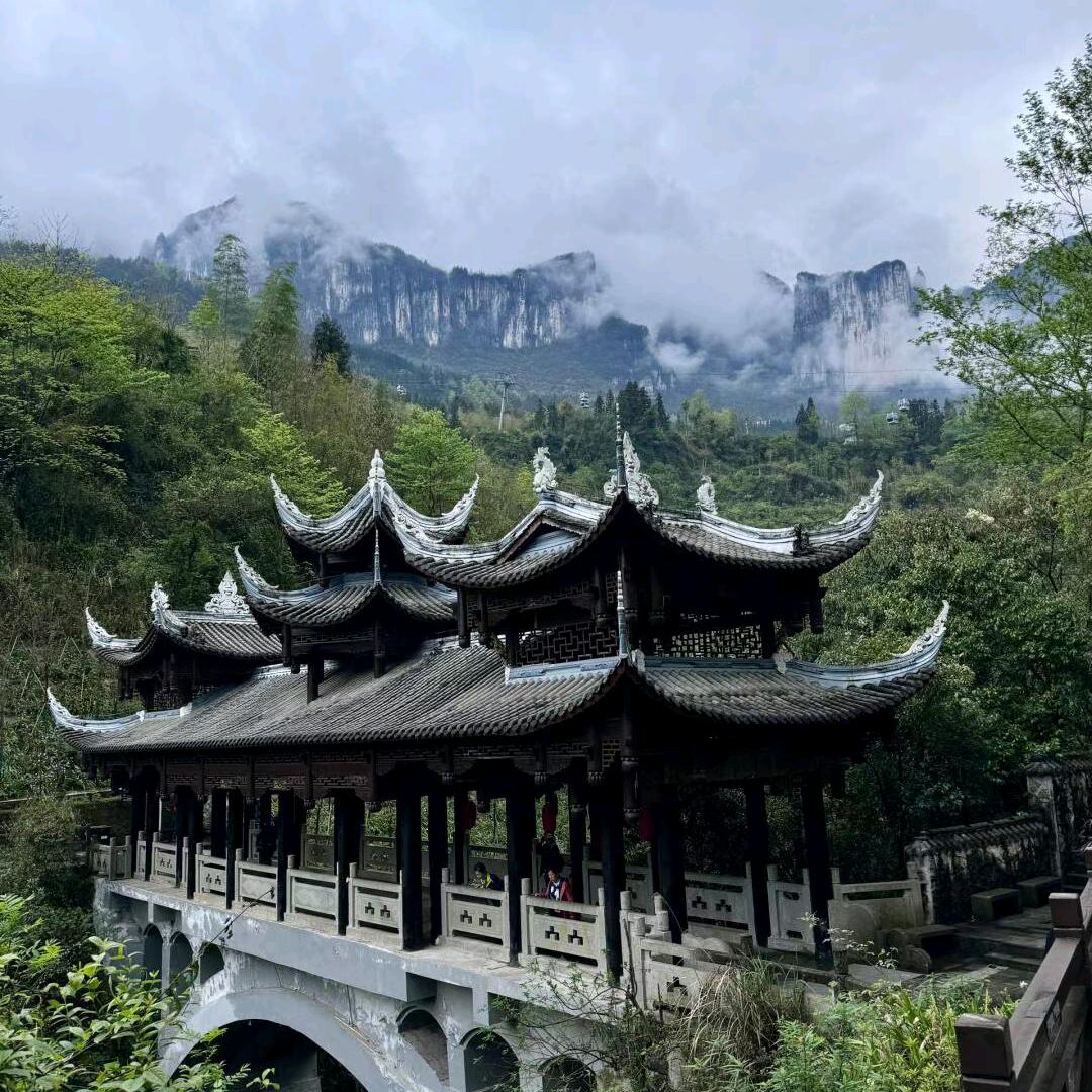 人中之龙