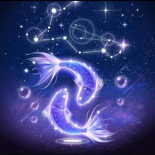 ✨梦想家🤟张洋