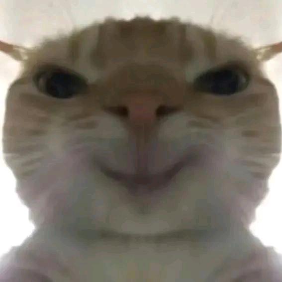 ——鱼骨头