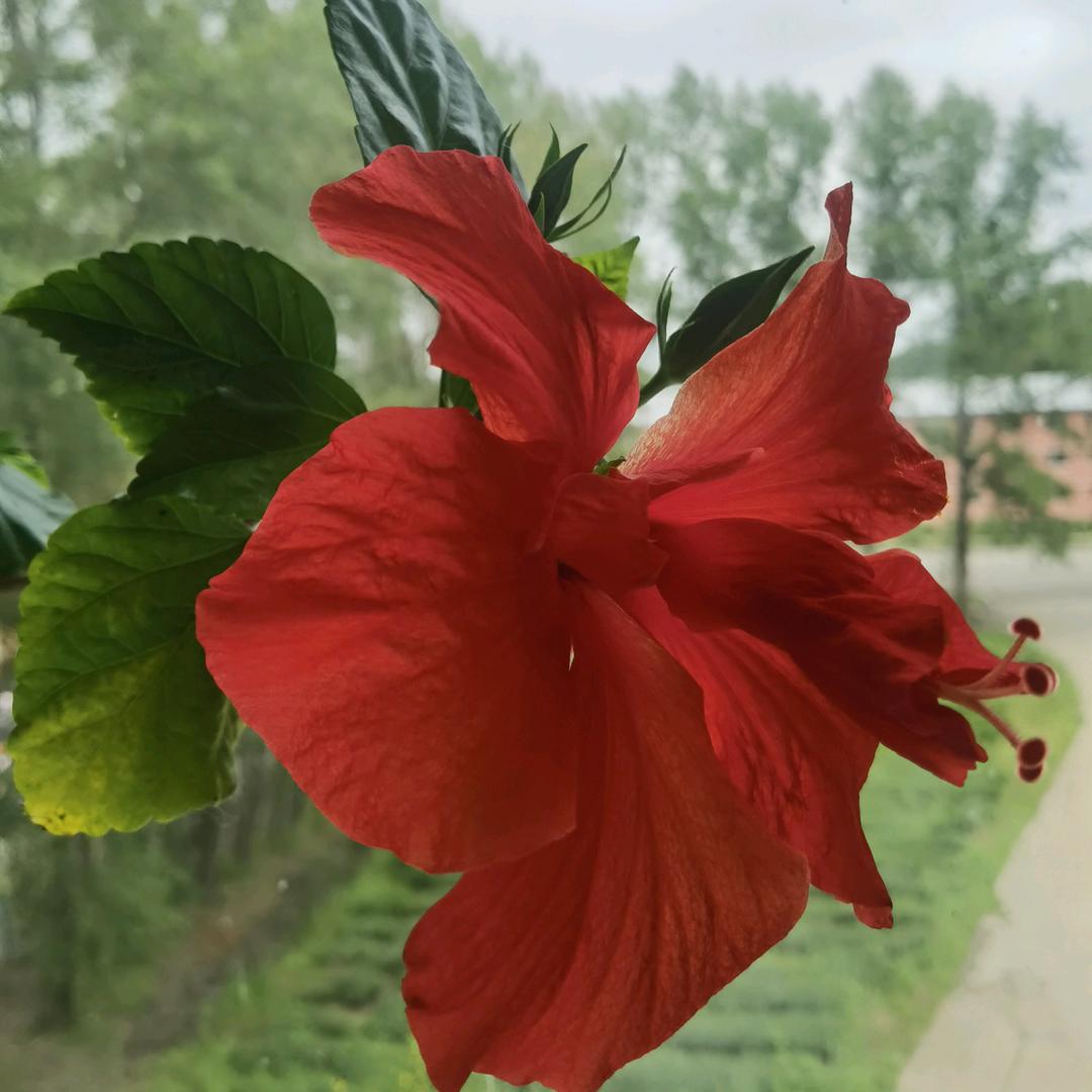 水晶雨