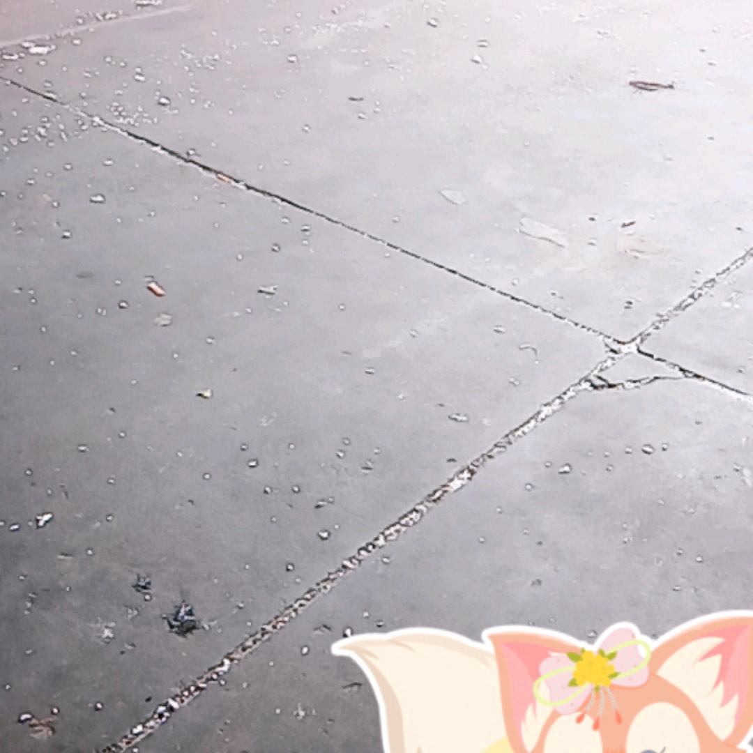 真心