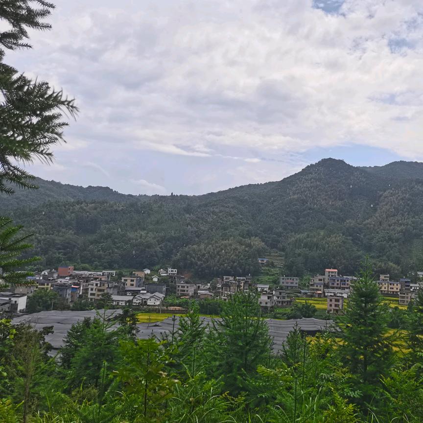 原来YL