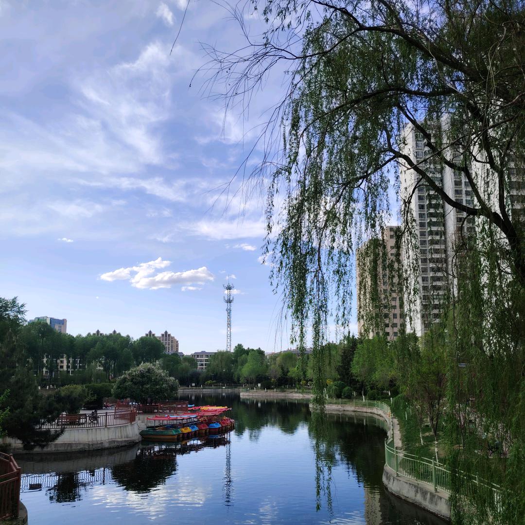 且行且悟☯️· 致远