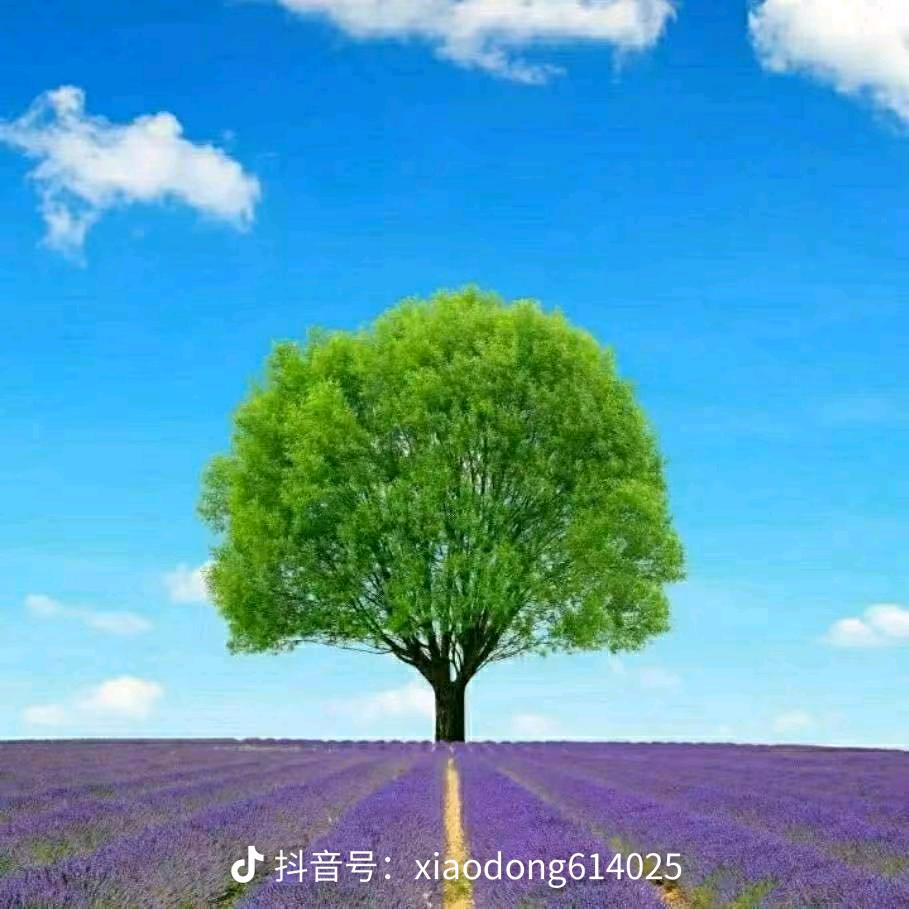 芹姐