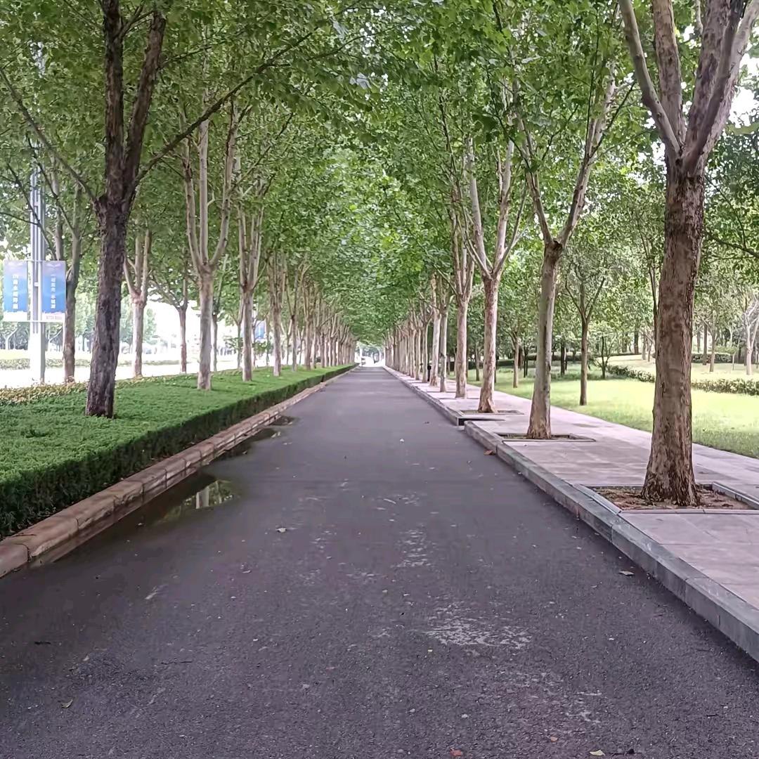 一个爱热闹的人