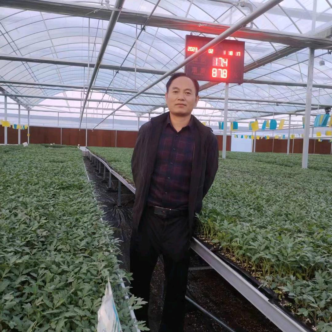 高陵种苗