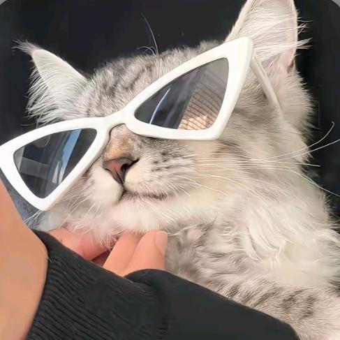 (๑`･ᴗ･´๑)