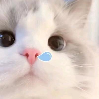ʚ·ɞ