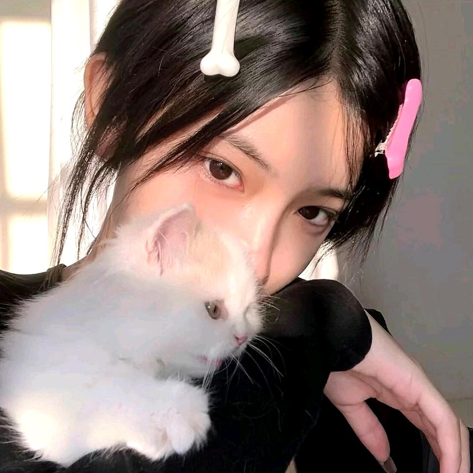 丹丹