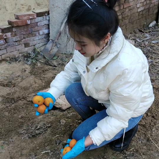 大妮在农村