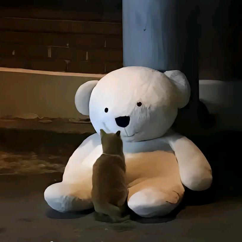 艾尔