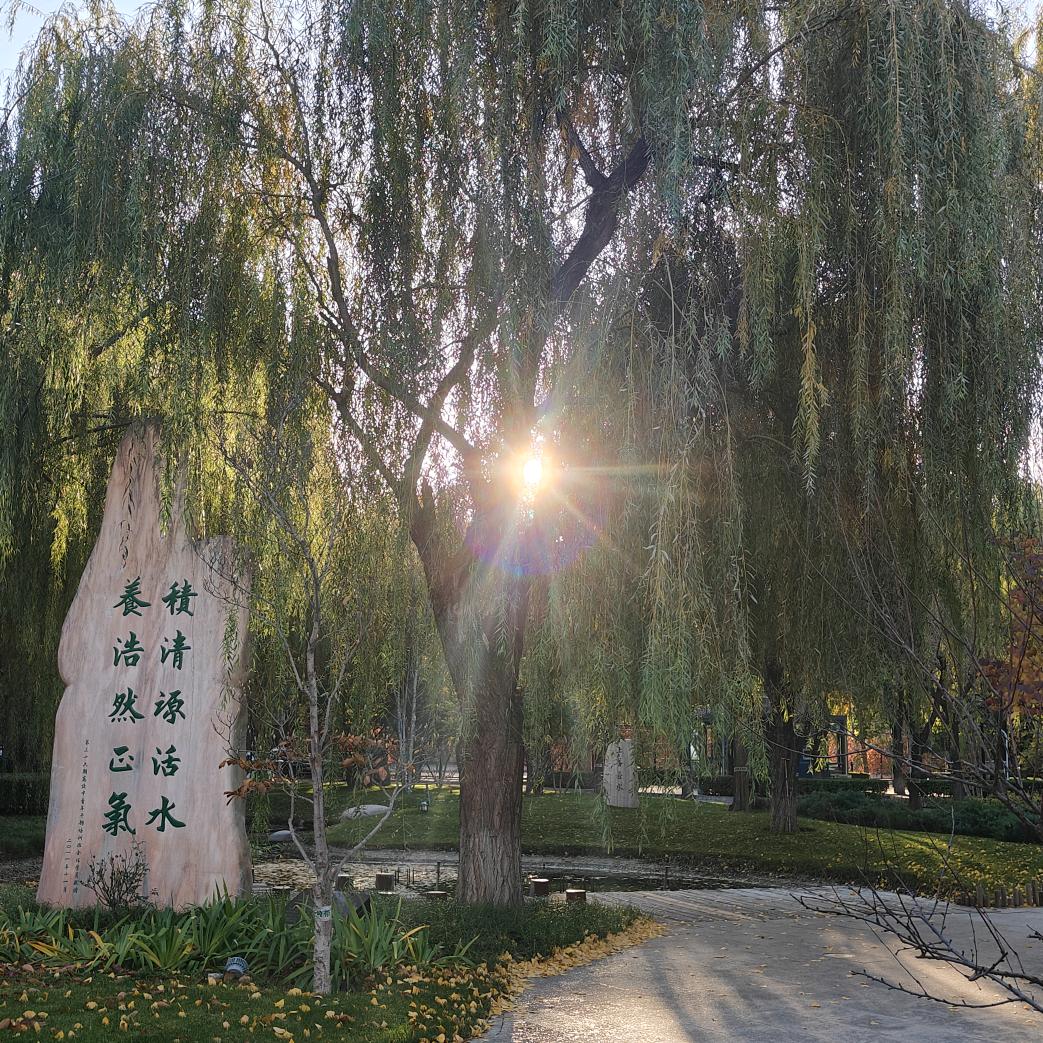 日月不同光，昼夜各有宜