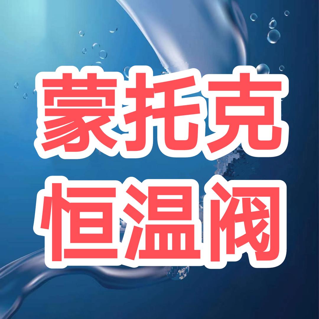 蒙托克恒温阀