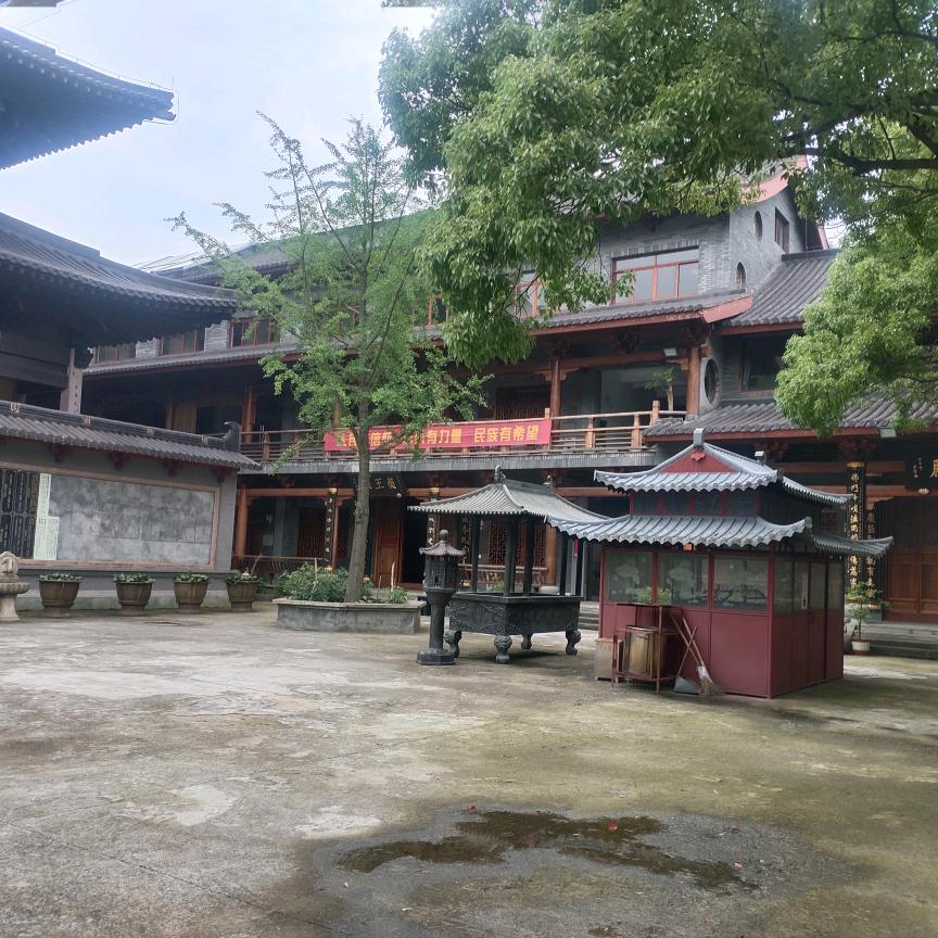 曹金奎实景随拍原创