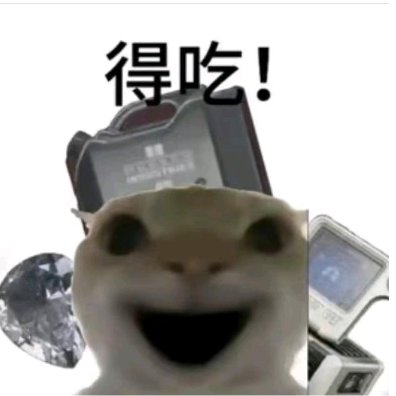 一条人